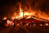 Firefighters scramble to combat a forest fire.