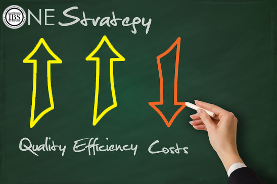 OneIBS Strategy: Quality, Efficiency, Costs graphic.